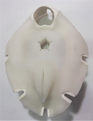Artificial Insemination Kit Artificial Insemination Kit