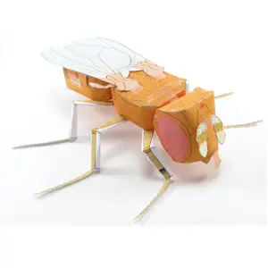 Origami Organelles Fruit Fly Drosophila