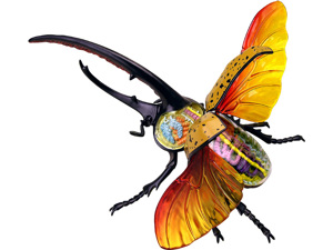 4D Vision Animal Hercules Beetle 4D Vision Animal Hercules Beetle
