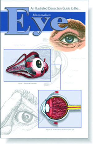 Illustrated Dissection Guides Mammalian Eye Guide
