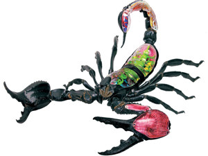 4D Vision Animal Scorpion 4D Vision Animal Scorpion