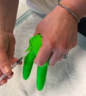 Xemo, The Substitutive Xenopus Model