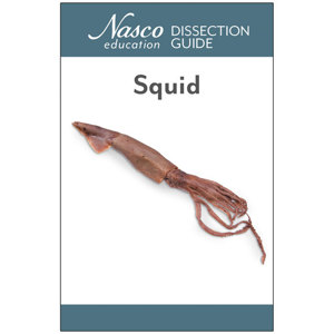 Nasco Student Squid Dissection Guide