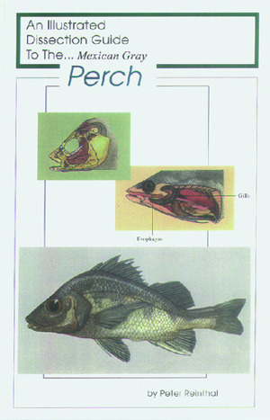 Illustrated Dissection Guides Perch Guide