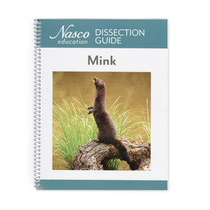 Guide To The Dissection Of The Mink Guide To The Dissection Of The Mink