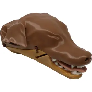 Standard Canine Intubation Trainers Standard Canine Intubation Trainers