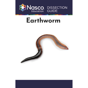 Earthworm Dissection Guide Earthworm Dissection Guide