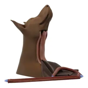 Canine Jugular Access Trainer Canine Jugular Access Trainer