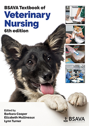 Bsavanursing