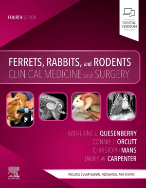 Ferrets, Rabbits, And Rodents Clinical Medicine And Surgery