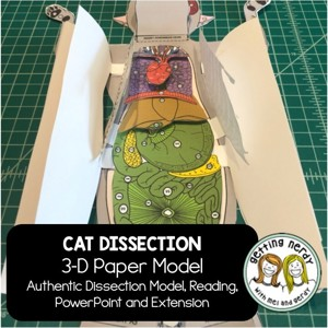 Cat Paper Dissection Scienstructable 3D Dissection Model