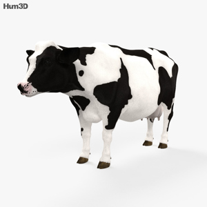 Cow 3D Model Cow 3D Model
