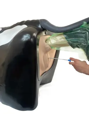 Smart Uterus Estrus