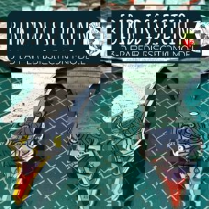 Bird Dissection (3 D Paper Dissection Model)