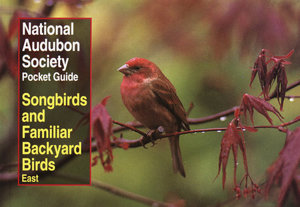 National Audubon Society Pocket Guide To Songbirds And Familiar Backyard Birds Eastern Region National Audubon Society Pocket Guide To Songbirds And Familiar Backyard Birds Eastern Region