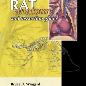 Rat Anatomy And Dissection Guide