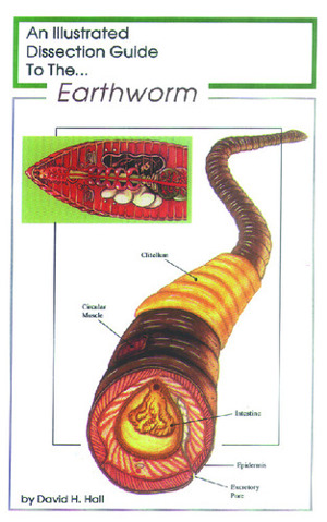 Illustrated Dissection Guides Earthworm Guide
