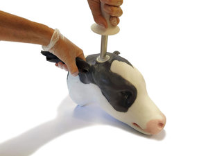 Calf Disbudding Kit Calf Disbudding Kit