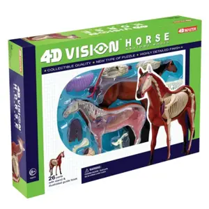 4D Vision Horse Model 4D Vision Horse Model