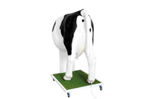 Extended Simulator For Artificial Insemination (KB) Of The Cow Extended Simulator For Artificial Insemination (KB) Of The Cow