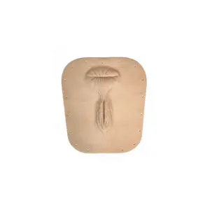 Smart Repro Cow Vulva