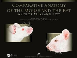 Comparative Anatomy Of The Mouse And Rat A Color Atlas And Text