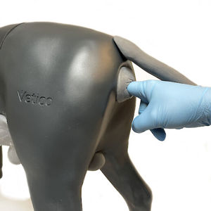 Androdog Prostate Hyperplasia Androdog Prostate Hyperplasia