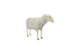Sheep: SIM MOD