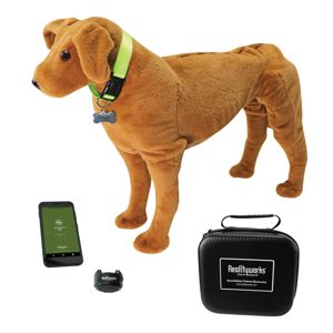 Canine Auscultation Trainer