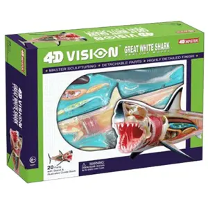 4D Vision Shark Model 4D Vision Shark Model