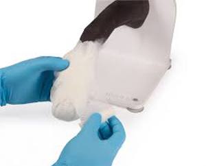 Bandage Trainer Canine Paw Bandage Trainer Canine Paw