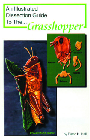 Illustrated Dissection Guides Grasshopper Guide,
