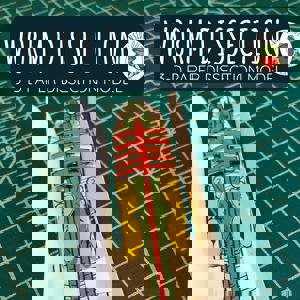 Earthworm Dissection (3 D Paper Dissection Model)