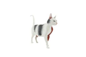 Cat (2)