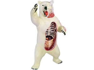 4D Vision Animal Polar Bear 4D Vision Animal Polar Bear