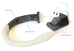 Coccygeal Vein Blood Sampling Kit (1)