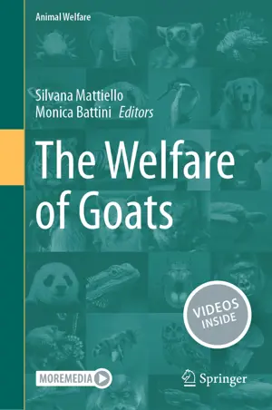 The Welfare Of Goats (1)