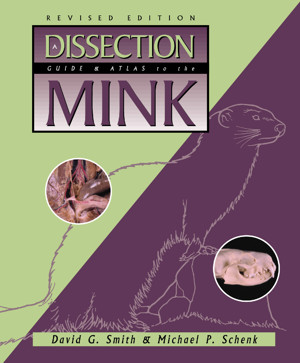 Dissection Guide And Atlas To The Mink