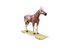 Horse : SIM MOD