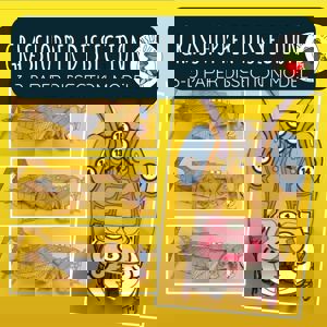 Grasshopper Dissection (3 D Paper Dissection Model)