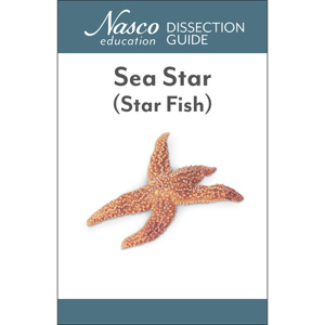 Sea Star (Starfish) Dissection Guide