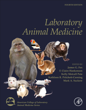 LAM2026