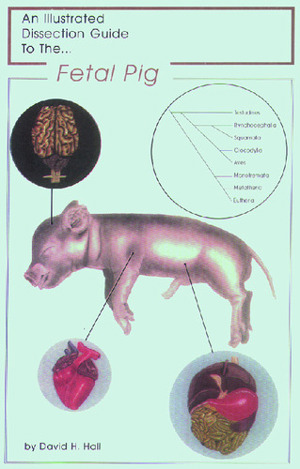 Illustrated Dissection Guides Fetal Pig Guide